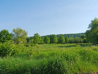 Wiesengrundstück