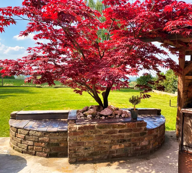 Gartenimpressionen