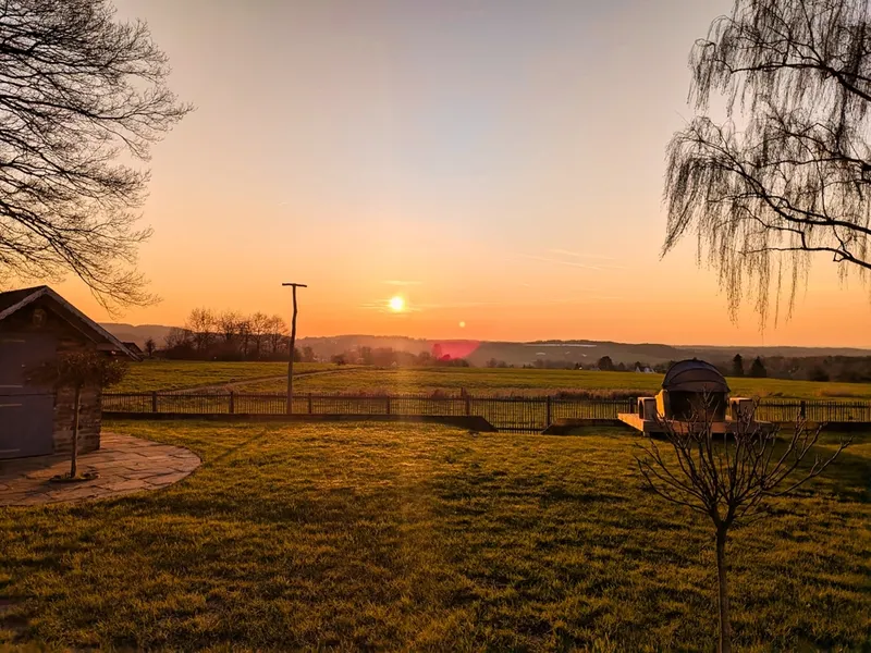 Gartenimpressionen