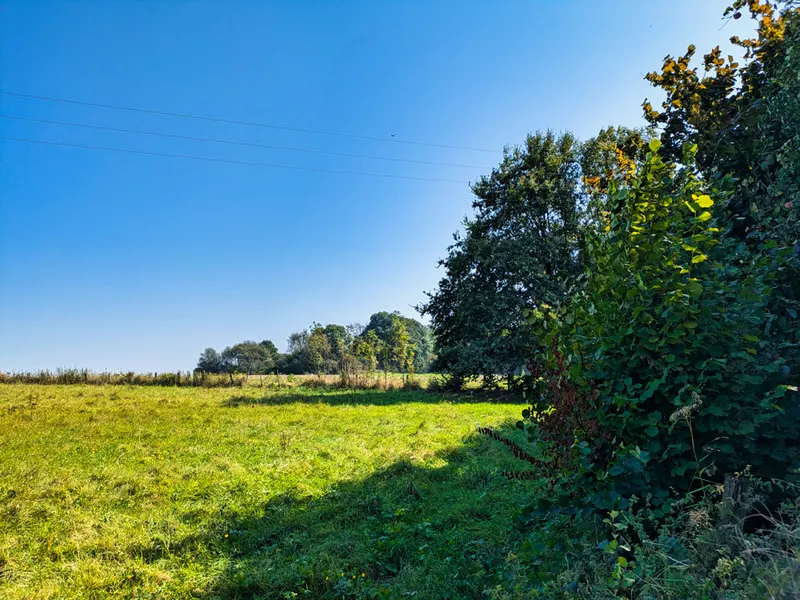 Blick über die Felder