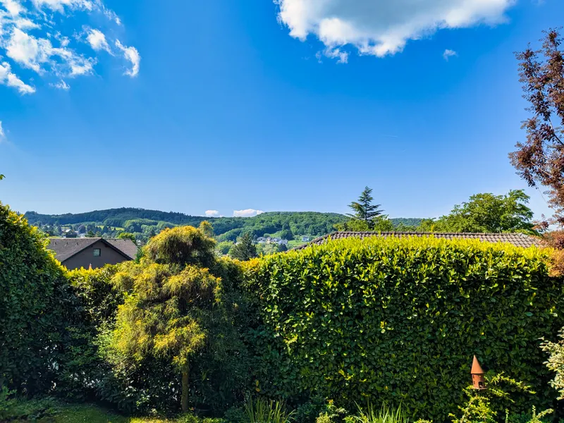 Blick von der Terrasse