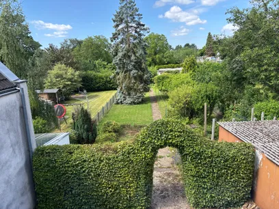 Blick in den Garten