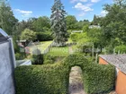 Blick in den Garten