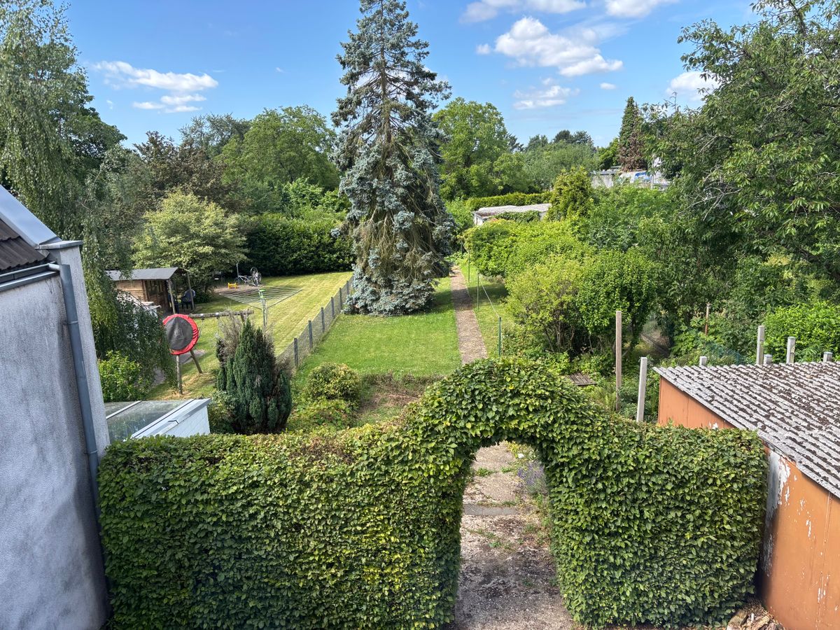 Blick in den Garten