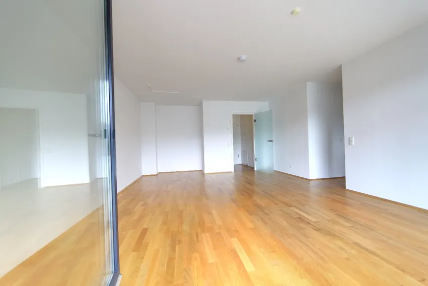 Blick zurück Wohn-Essbereich