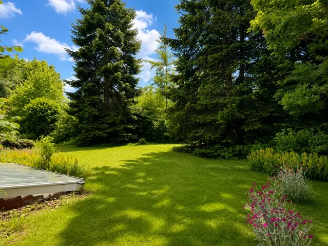 Gartenbereich