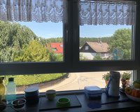Blick aus dem Küchenfenster