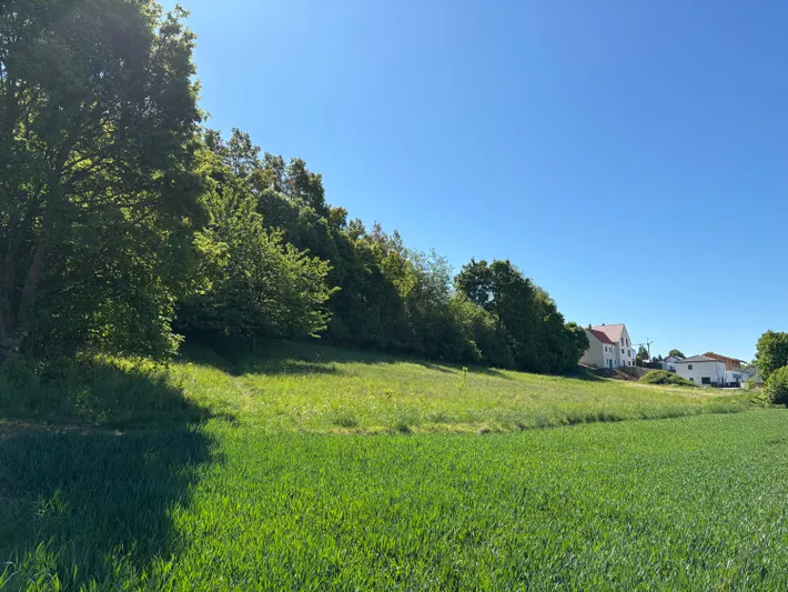 Jetzt neu: Land- und Forstwirtschaft zum Kauf in Velburg
