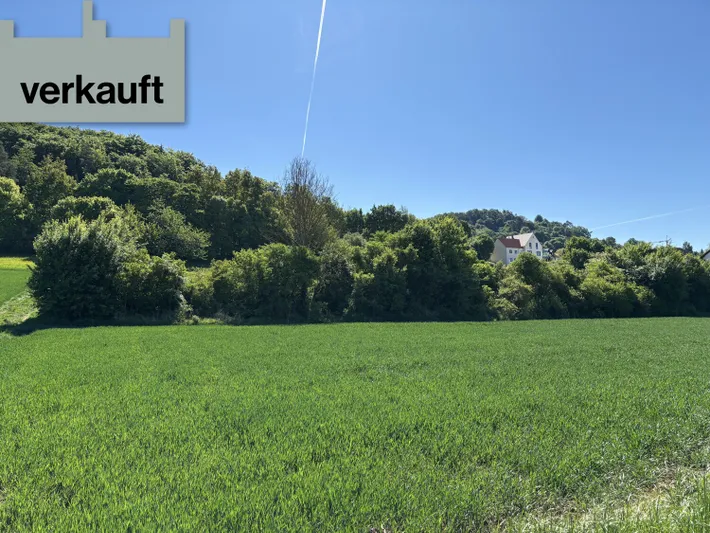 Jetzt neu: Land- und Forstwirtschaft zum Kauf in Velburg