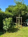Ruhe und Vogelgezwitscher