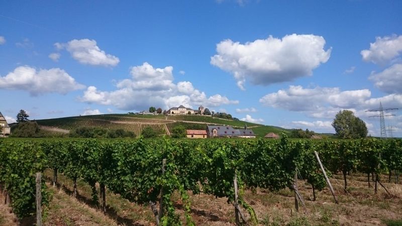 '+++ 5.372 M² GEWERBEGRUNDSTÜCK +++ Attraktive Lage Rheingau/Geisenheim