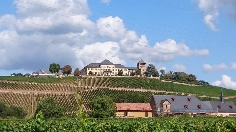 '+++ VERKAUFT +++ Gewerbegrundstück mit reizvollem Blick auf Schloss Johannisberg