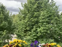 Balkonblick