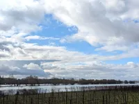 Rhein bei Oestrich