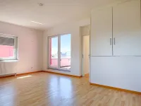 DG Studio