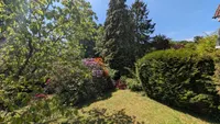 Blick in den Garten