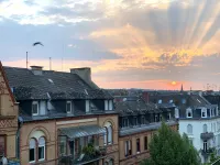 Ausblick