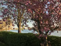 Impression Rhein