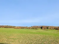 Aussicht von der Zufahrt