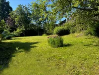 große Wiese