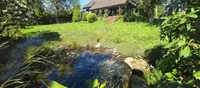 Teich im Garten