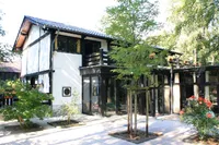 Rückansicht