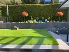 Garten Nahaufnahme
