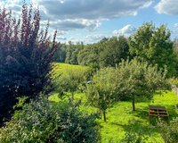 Blick auf den eigenen Garten