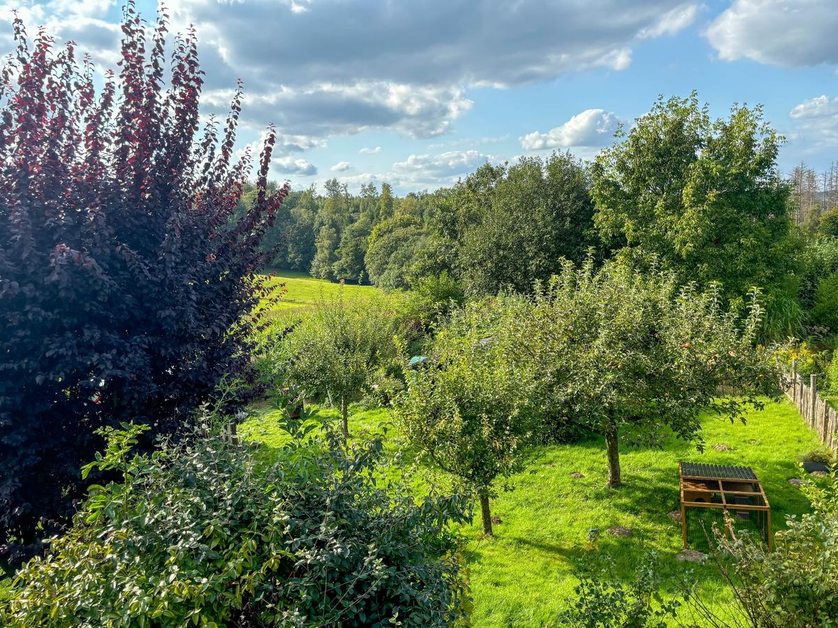 Blick auf den eigenen Garten