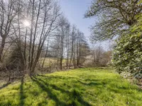 weitläufige Wiesen und Wälder