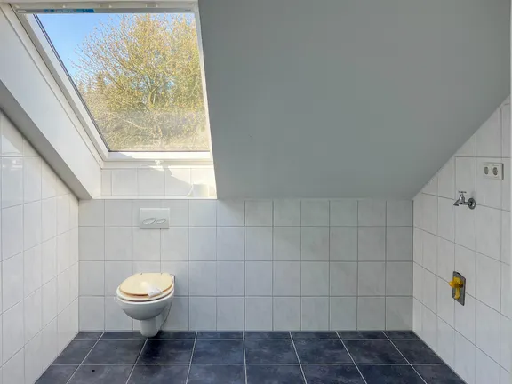 separates WC