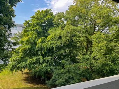 Aussicht auf die ruhige Natur