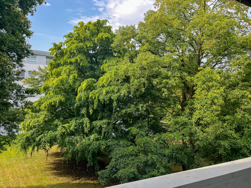 Aussicht auf die ruhige Natur