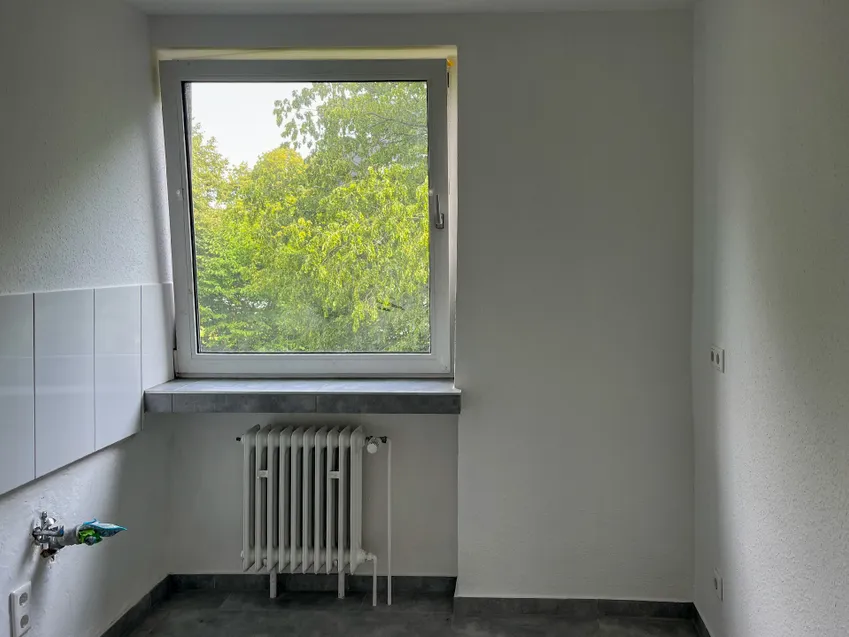 Modernisierte Küche