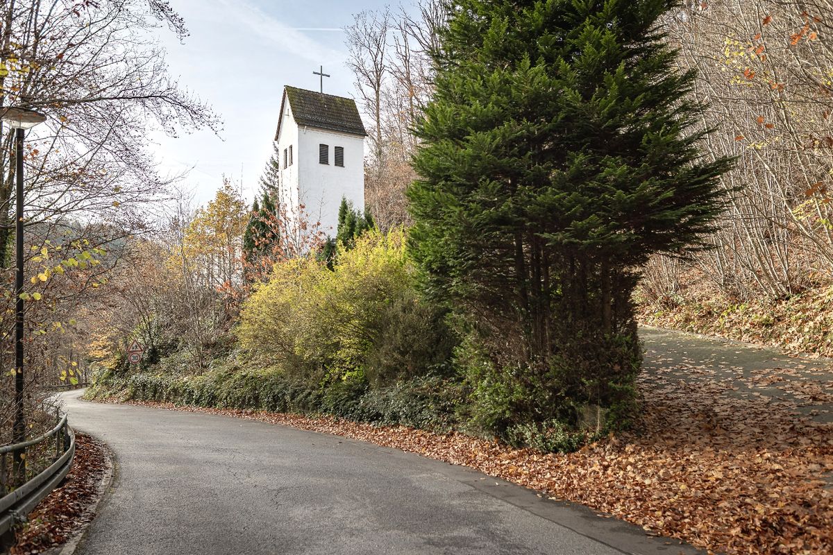 versteckt in grüner Umgebung
