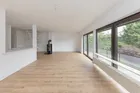 lichtdurchfluteter Wohn-/Essbereich
