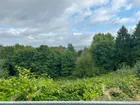 Grüner Ausblick von der Terrasse
