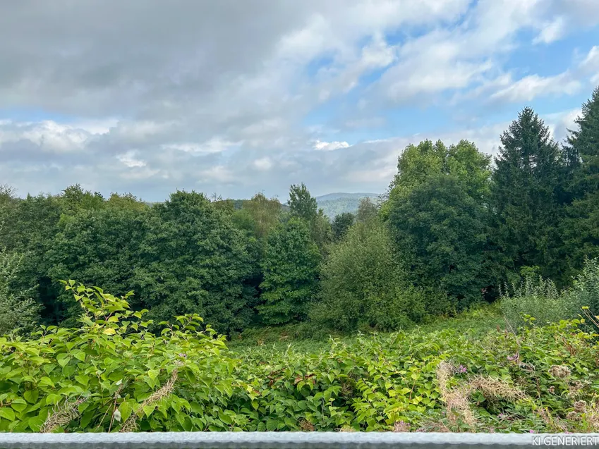 Grüner Ausblick von der Terrasse