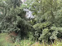 Balkonblick in die Gärten