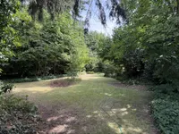 Blick in den Garten 1