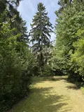 Blick in den Garten 2