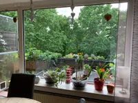 Ausblick