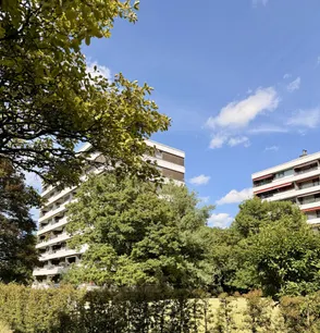 Frontansicht