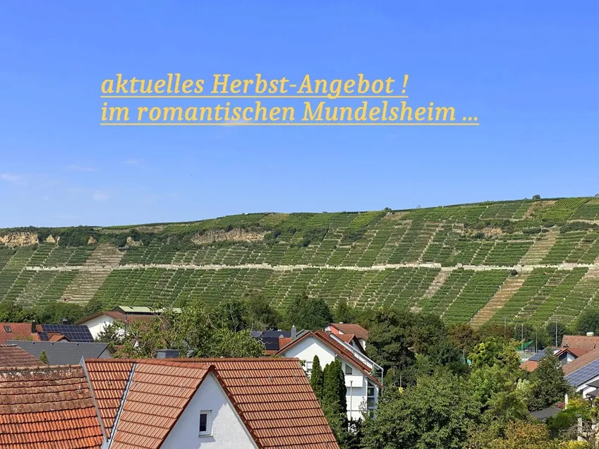 herrlicher Blick auf die Weinberge ...