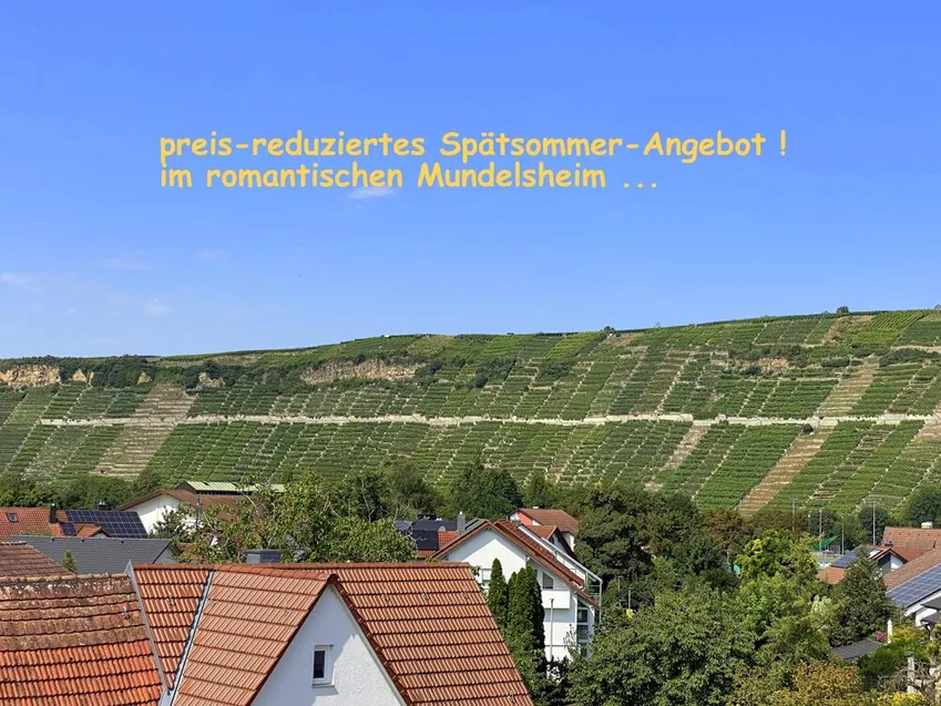 herrlicher Blick auf die Weinberge ...