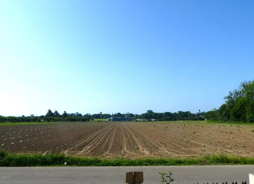 Weitblick