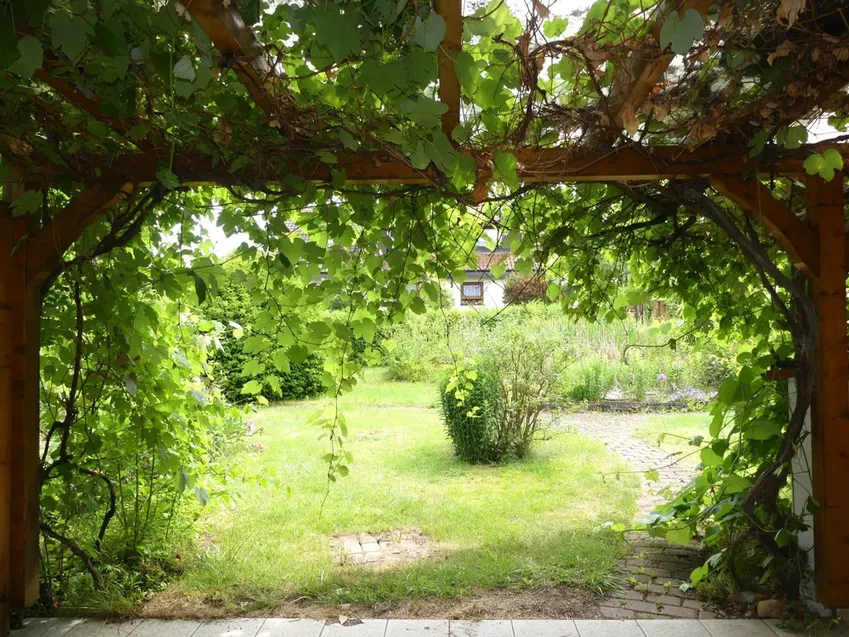 EG: Aussicht Terrasse