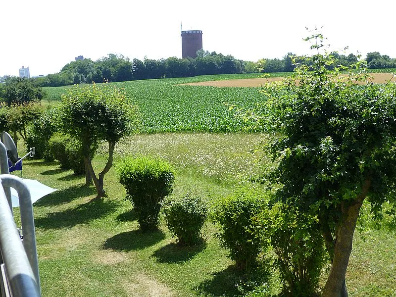 Aussicht_2