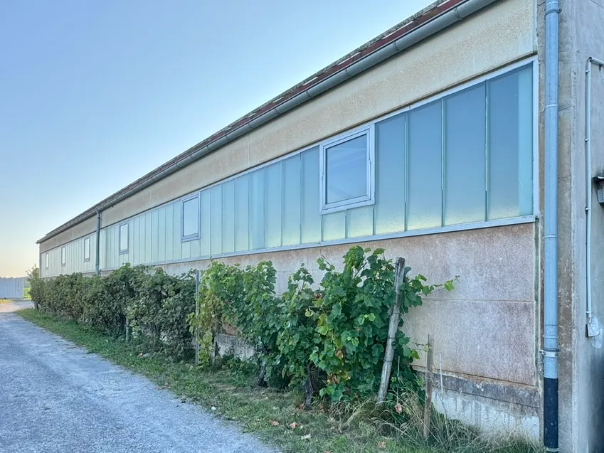 Seitenansicht