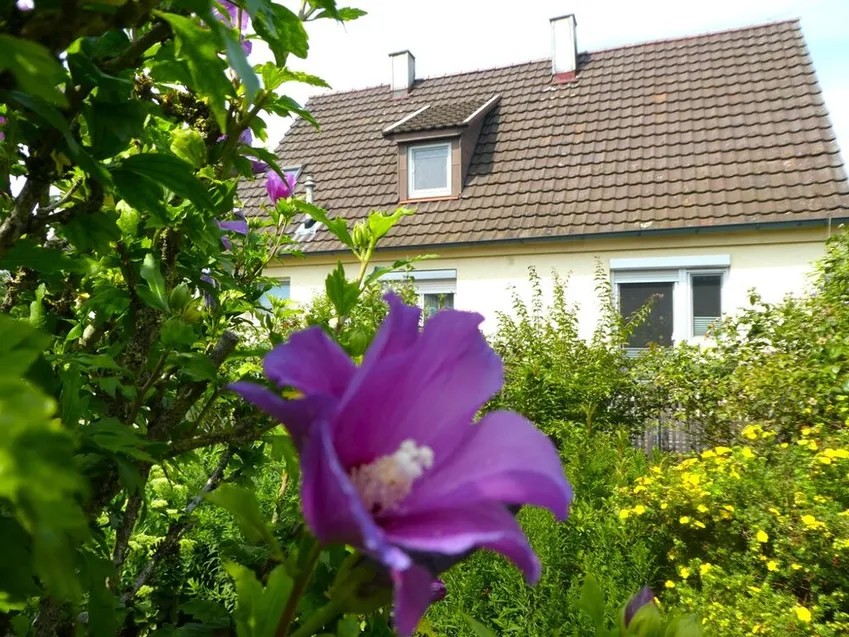 Südansicht